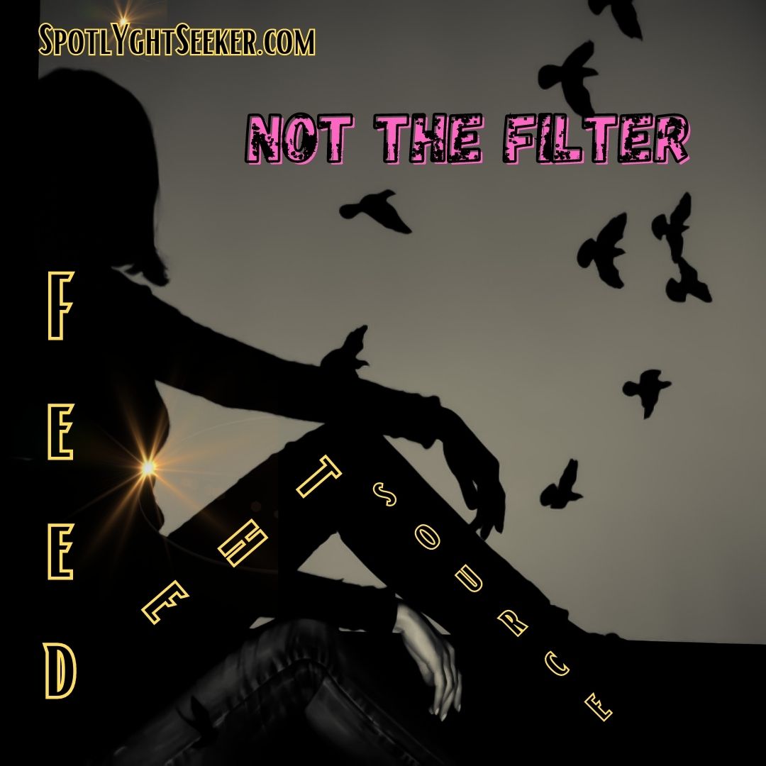 Feed the Source Not the Filter - Blog for Artists Seeking the Spotlight