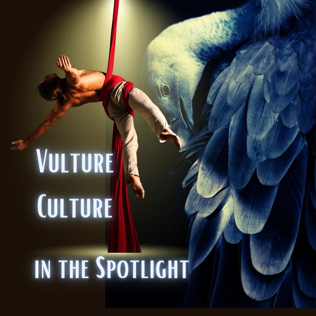 Vulture Culture in the Spotlight: Celebrating Artists and Challenging Misconceptions