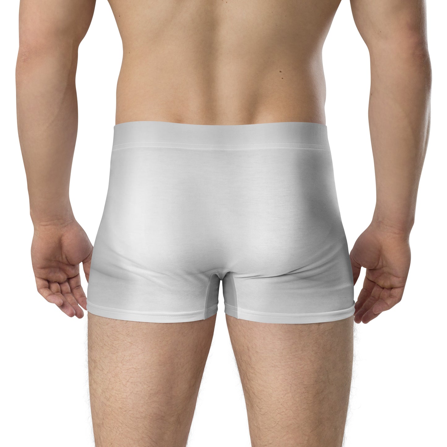 LBS Silver Spotlight Boxer Briefs