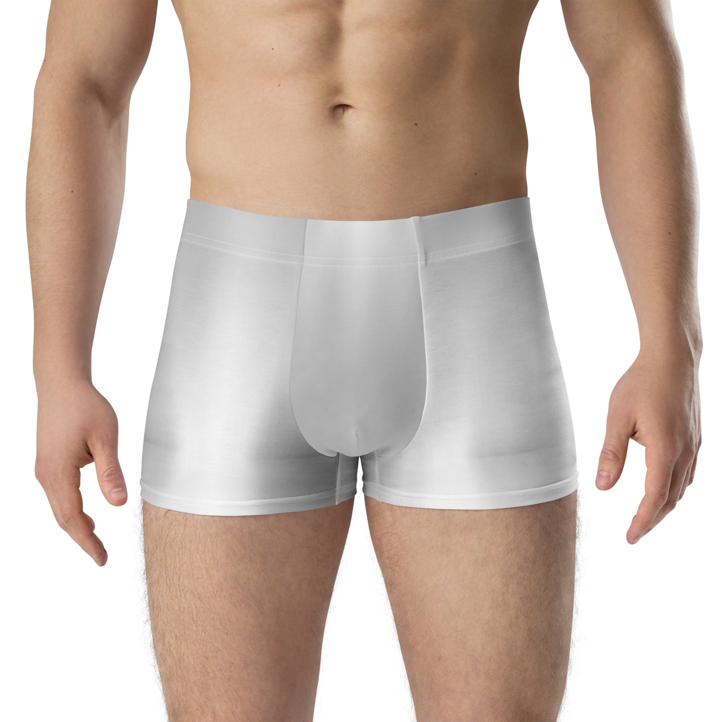 LBS Silver Spotlight Boxer Briefs