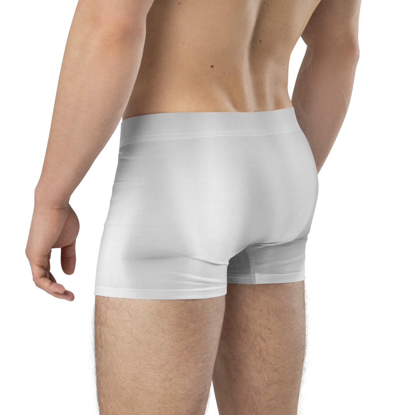 LBS Silver Spotlight Boxer Briefs