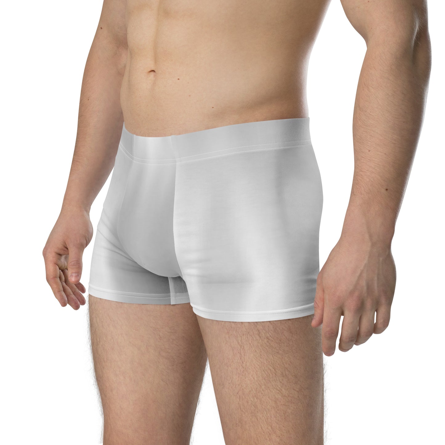 LBS Silver Spotlight Boxer Briefs