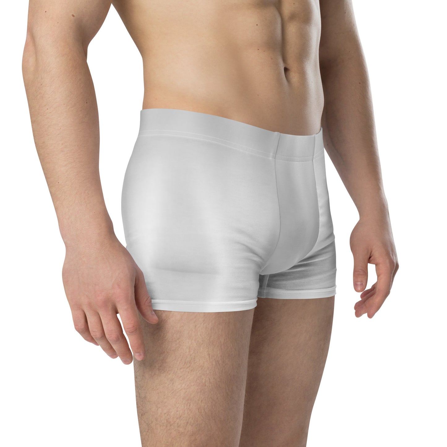 LBS Silver Spotlight Boxer Briefs